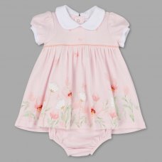 T20216: Baby Girls Floral Dress & Pant Set (0-12 Months)